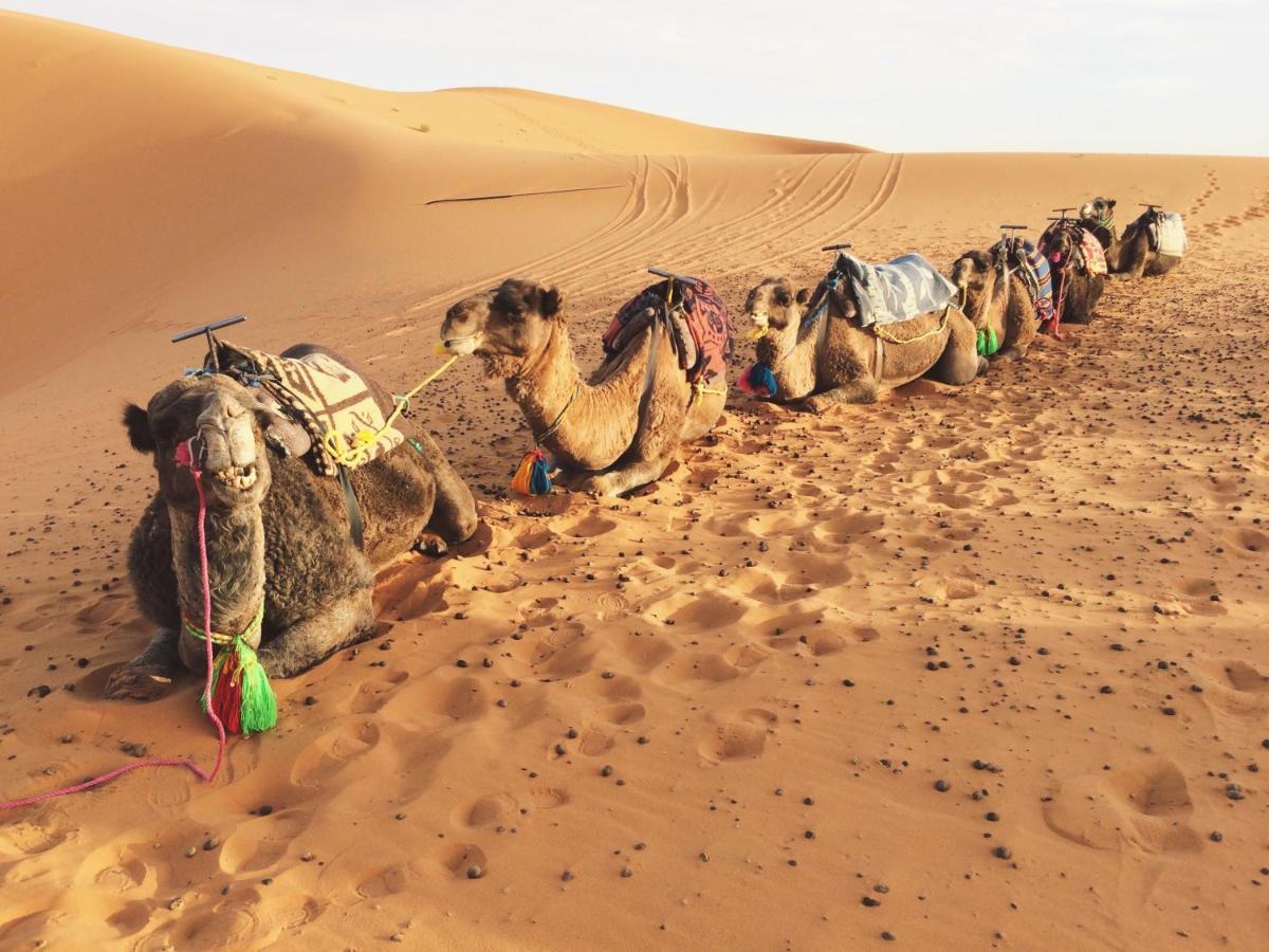Sahara Stories Camp " Heated Tents" Merzouga Eksteriør billede
